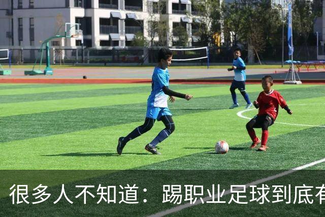 很多人不知道：踢职业足球到底有多难？天赋仅仅只是入场券！